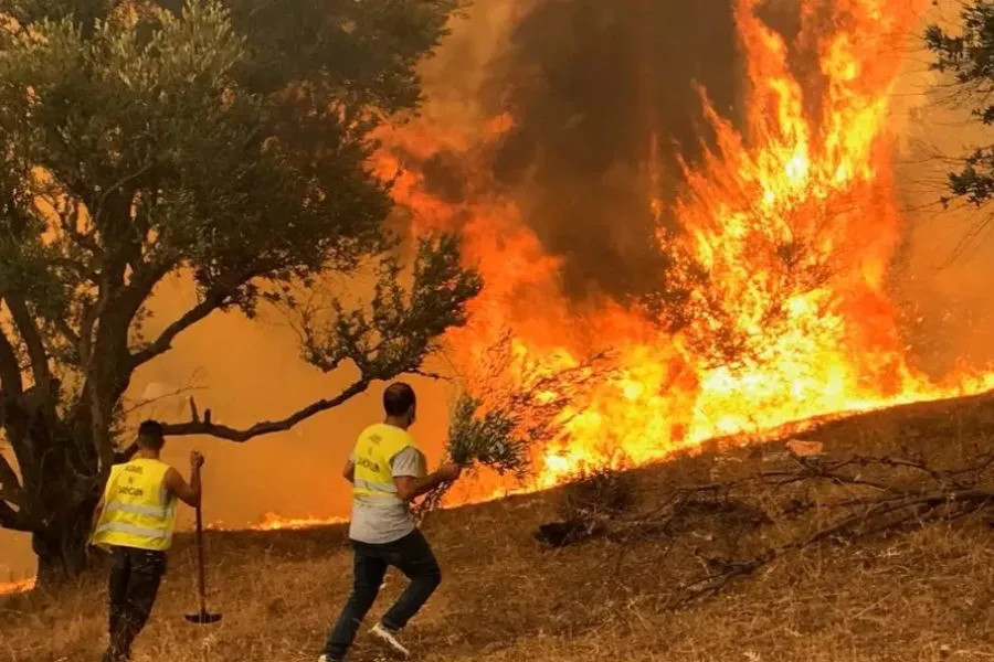 Əlcəzairdə meşə yanğınları 12 nəfərin həyatına son qoydu